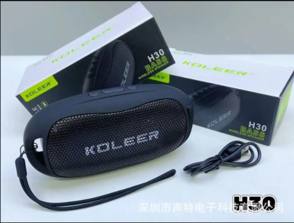 KOLEER Wireless Portable Bluetooth Speaker H30